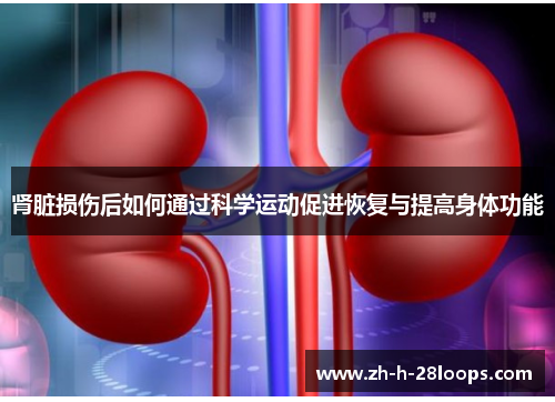 肾脏损伤后如何通过科学运动促进恢复与提高身体功能
